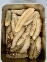 IMG_9263_Sea Cucumber.webp
