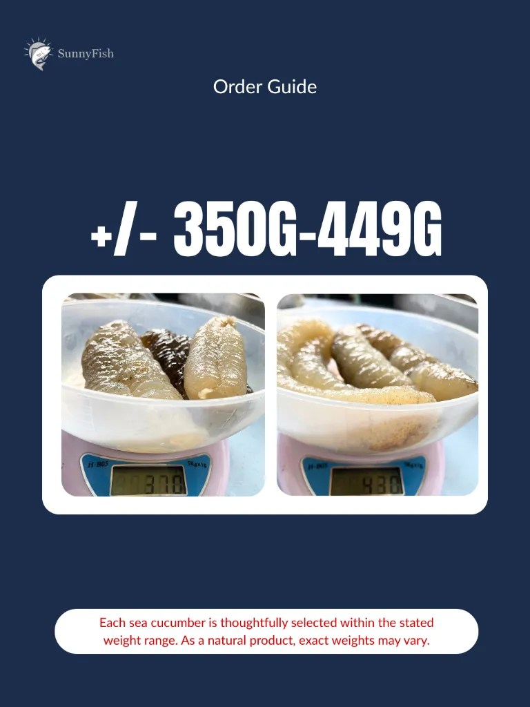 Size Option (2).webp