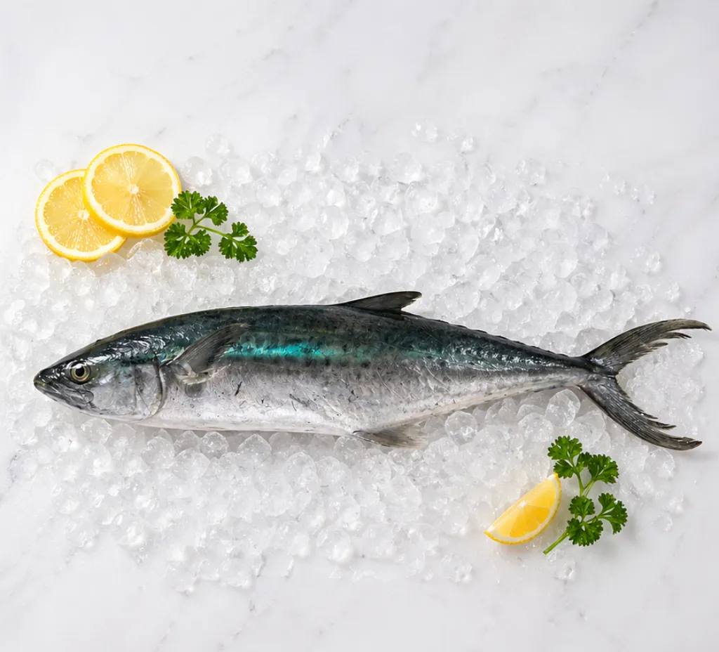 Spotted Spanish Mackerel (Tenggiri Bunga) 花鲛 (Whole, -)